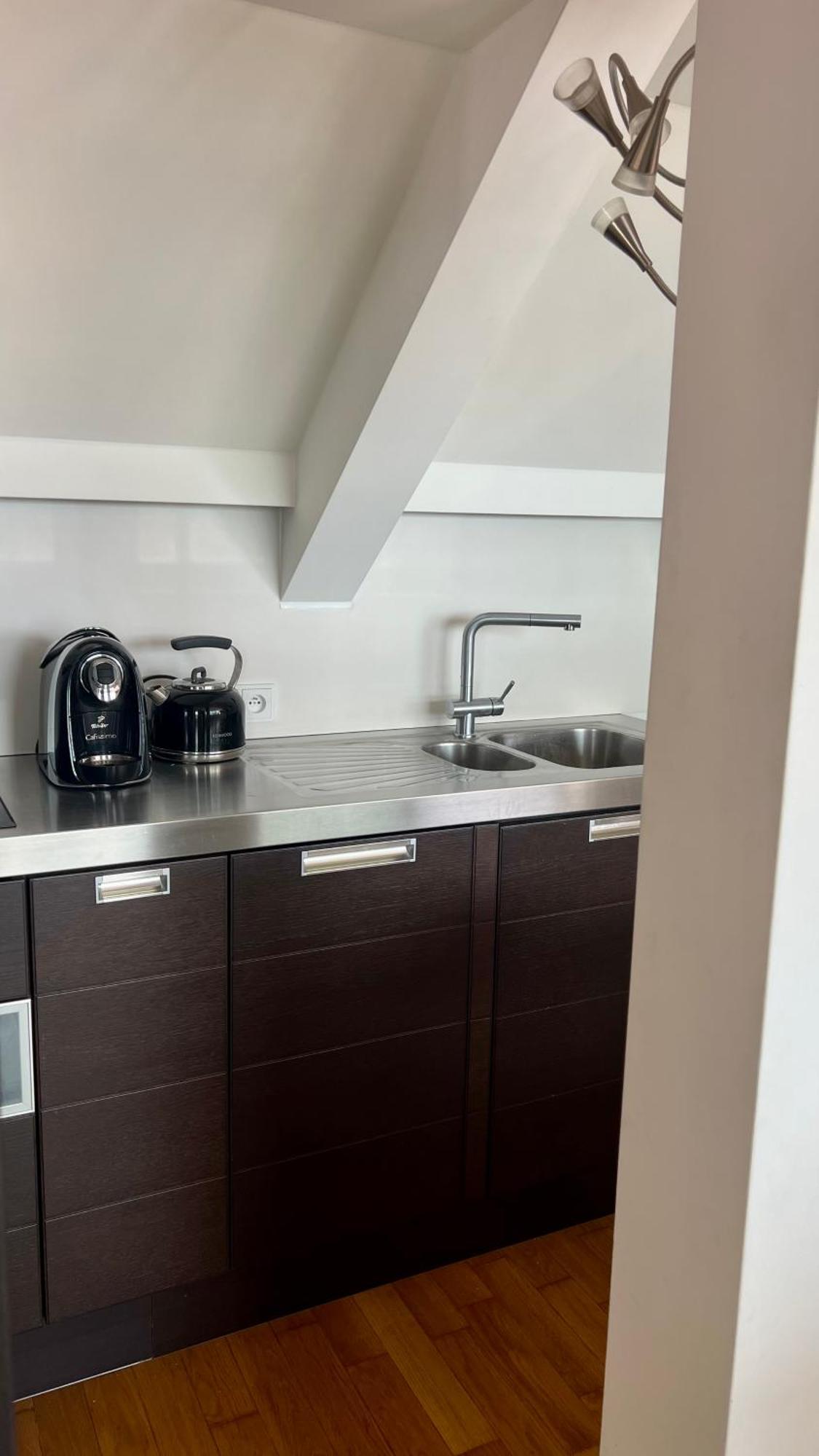 Apartman Se Saunou A Terasou S Vyhledem Na Brno Buitenkant foto