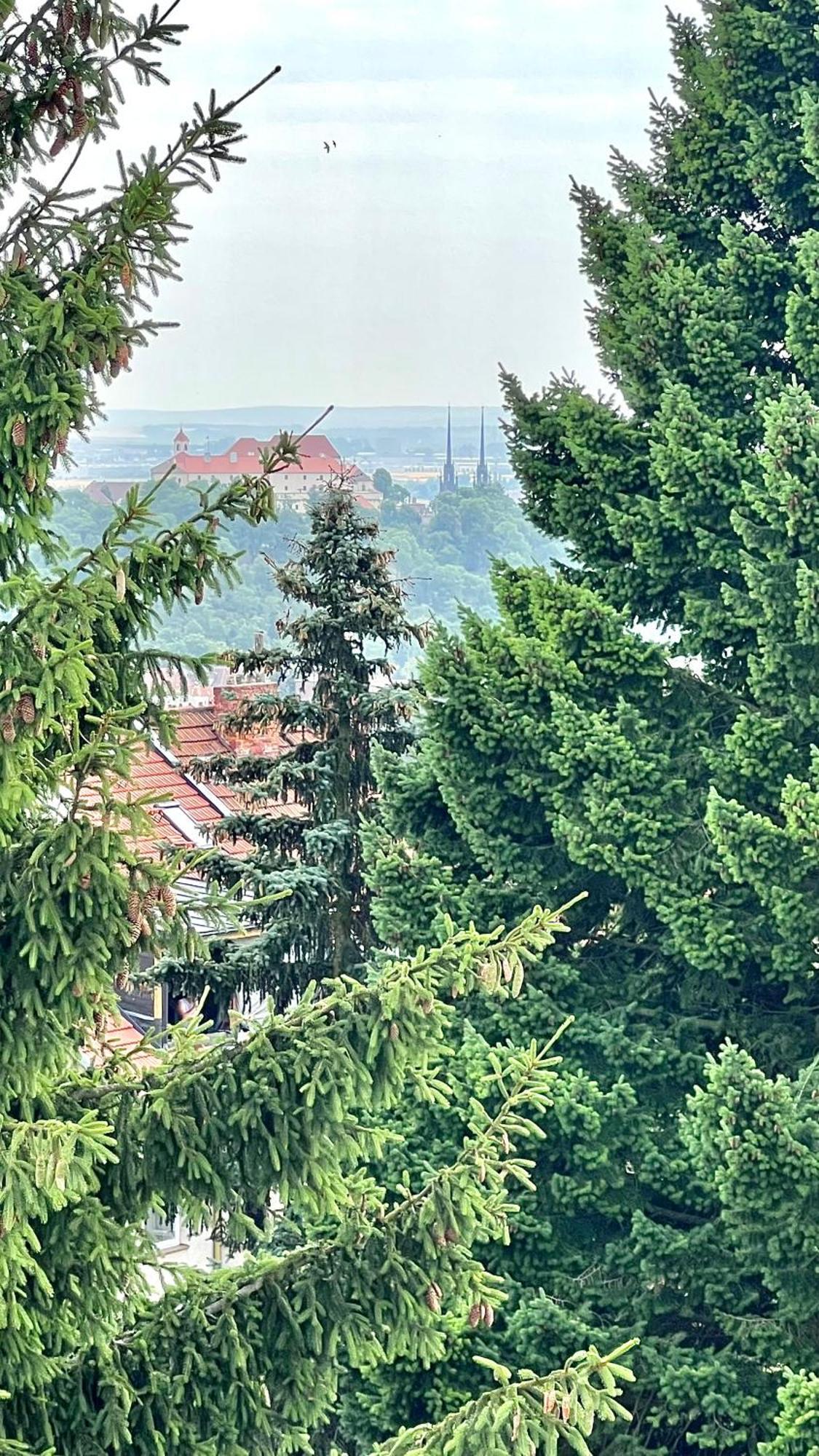 Apartman Se Saunou A Terasou S Vyhledem Na Brno Buitenkant foto